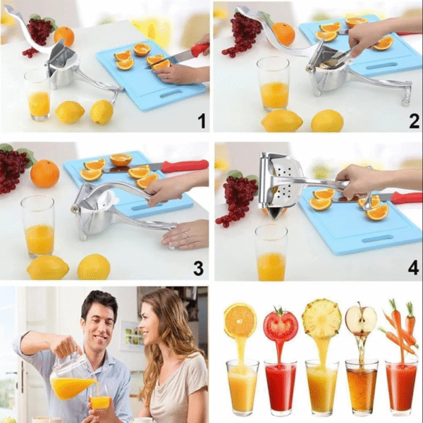 Fruit Press Juicer